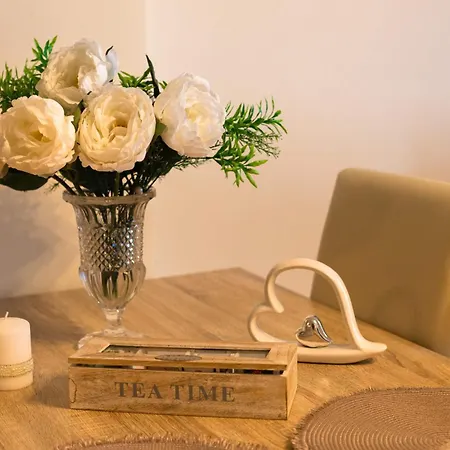 U Tri Jehnatek Apartment Karlovy Vary